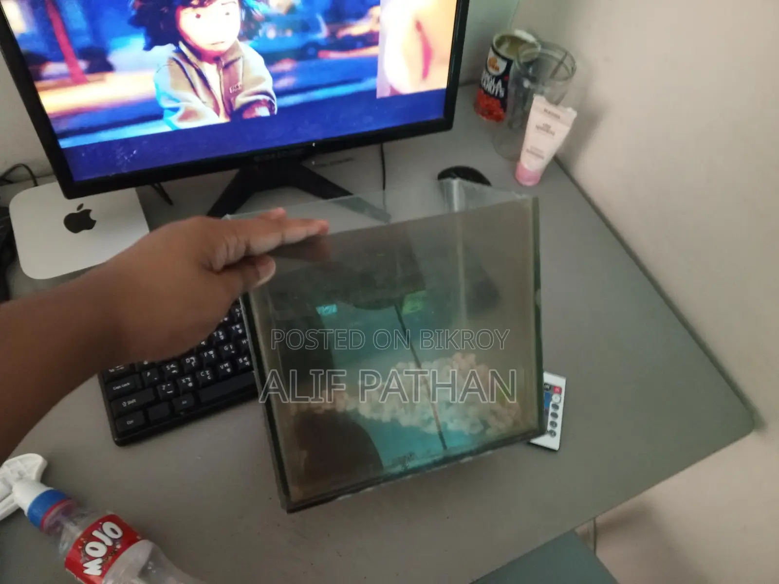Aquarium Fish Tank
