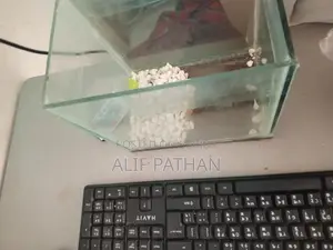 Aquarium Fish Tank