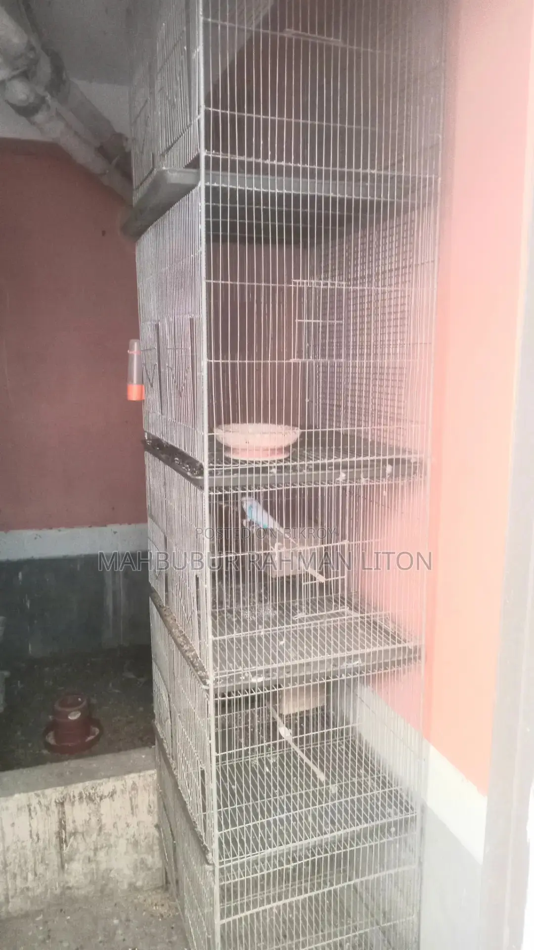 পাখির খাচা বিক্রি হবে