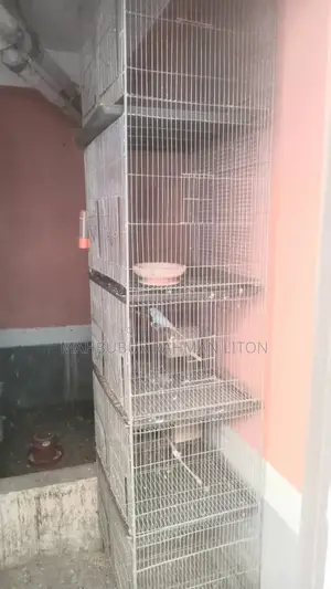পাখির খাচা বিক্রি হবে