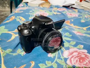 Canon 600d with Yongnuo 50mm 1.8 lens setup