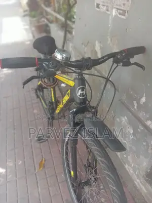 Selling My Bicycle