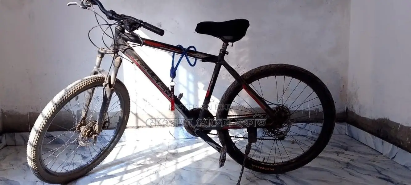 Bicycle For Sale