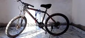 Bicycle For Sale
