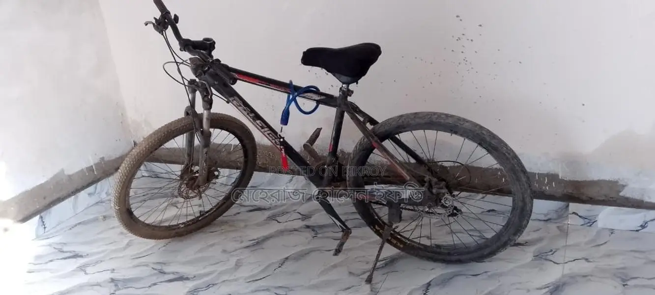 Bicycle For Sale