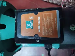 Pump Man Water 2 Horsepower