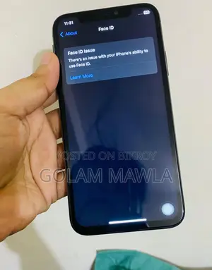 Apple iPhone X (Used)