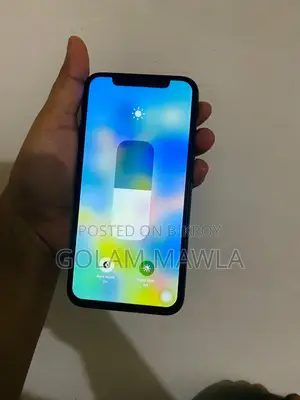 Apple iPhone X (Used)