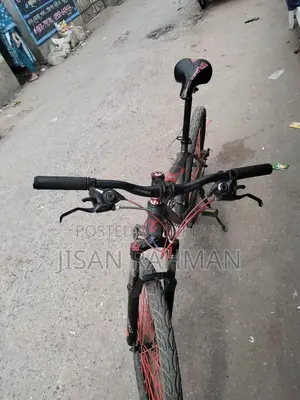 Fresh Condition Bicycle