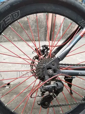 Fresh Condition Bicycle