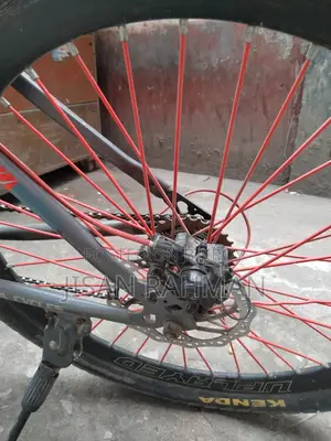 Fresh Condition Bicycle
