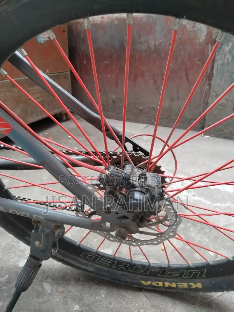 Fresh Condition Bicycle