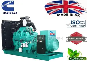 Cummins NTA Series 313 kVA Generator – Reliable Industrial Grade Power