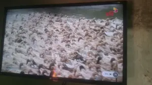 TV for sale