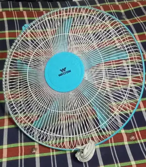 Walton Fan