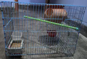3 Chinese Cages, 1 Breeding Box, Pot, 15 Food + Water Bowls