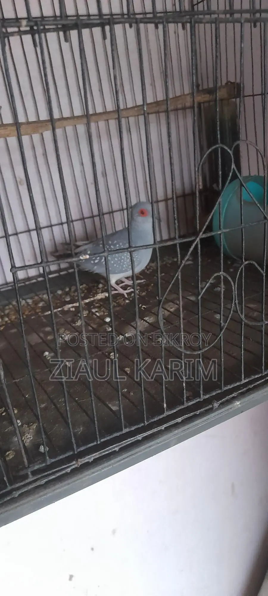 Three pieces of Diamond Dove for sale