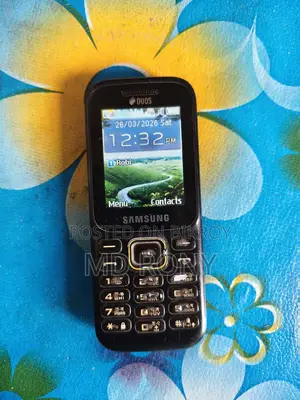 Samsung Guru Music 2 (Used)