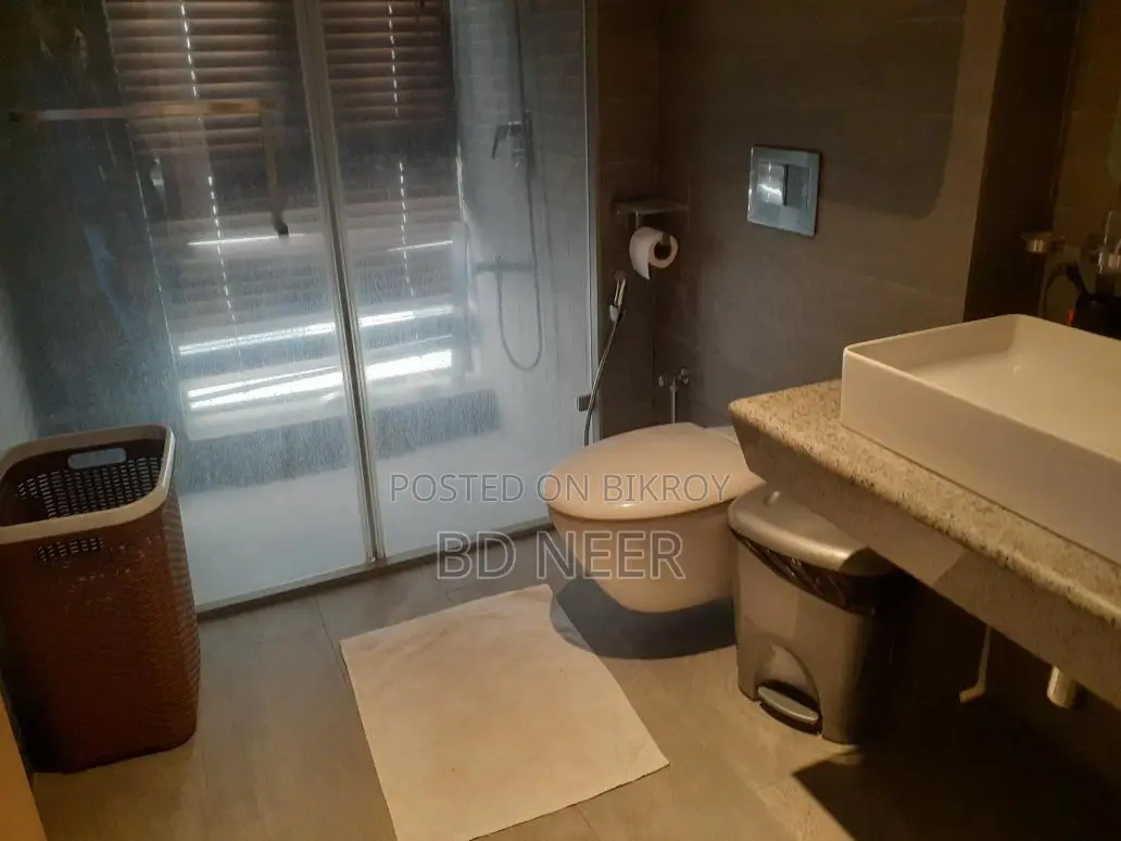 Furnished Duplex 3 Bedroom Flat Rent in Gulshan-2