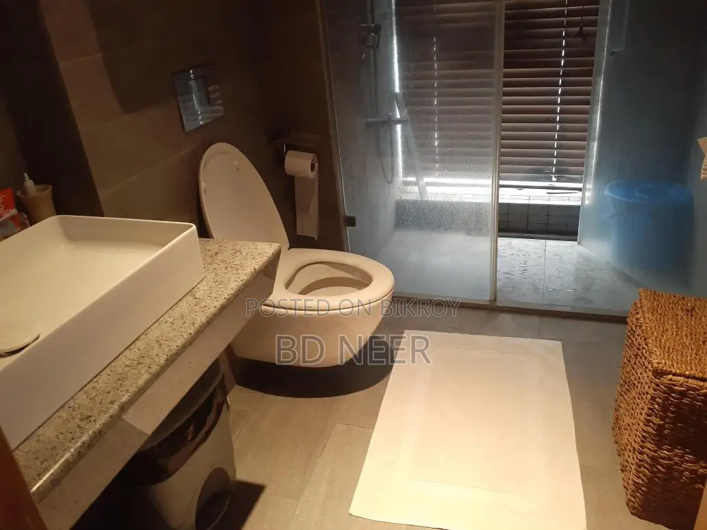 Furnished Duplex 3 Bedroom Flat Rent in Gulshan-2