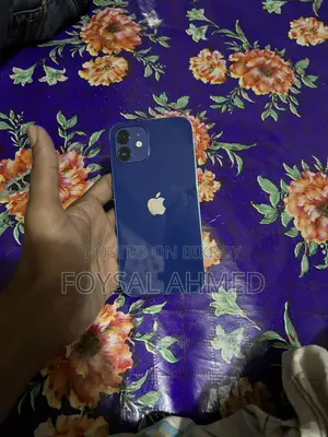 Apple iPhone 12 (Used)