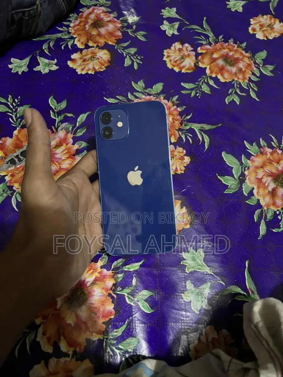Apple iPhone 12 (Used)