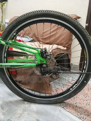 সাইকেলটি ফিনিক্স (Phoenix Bicycle)