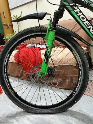সাইকেলটি ফিনিক্স (Phoenix Bicycle)