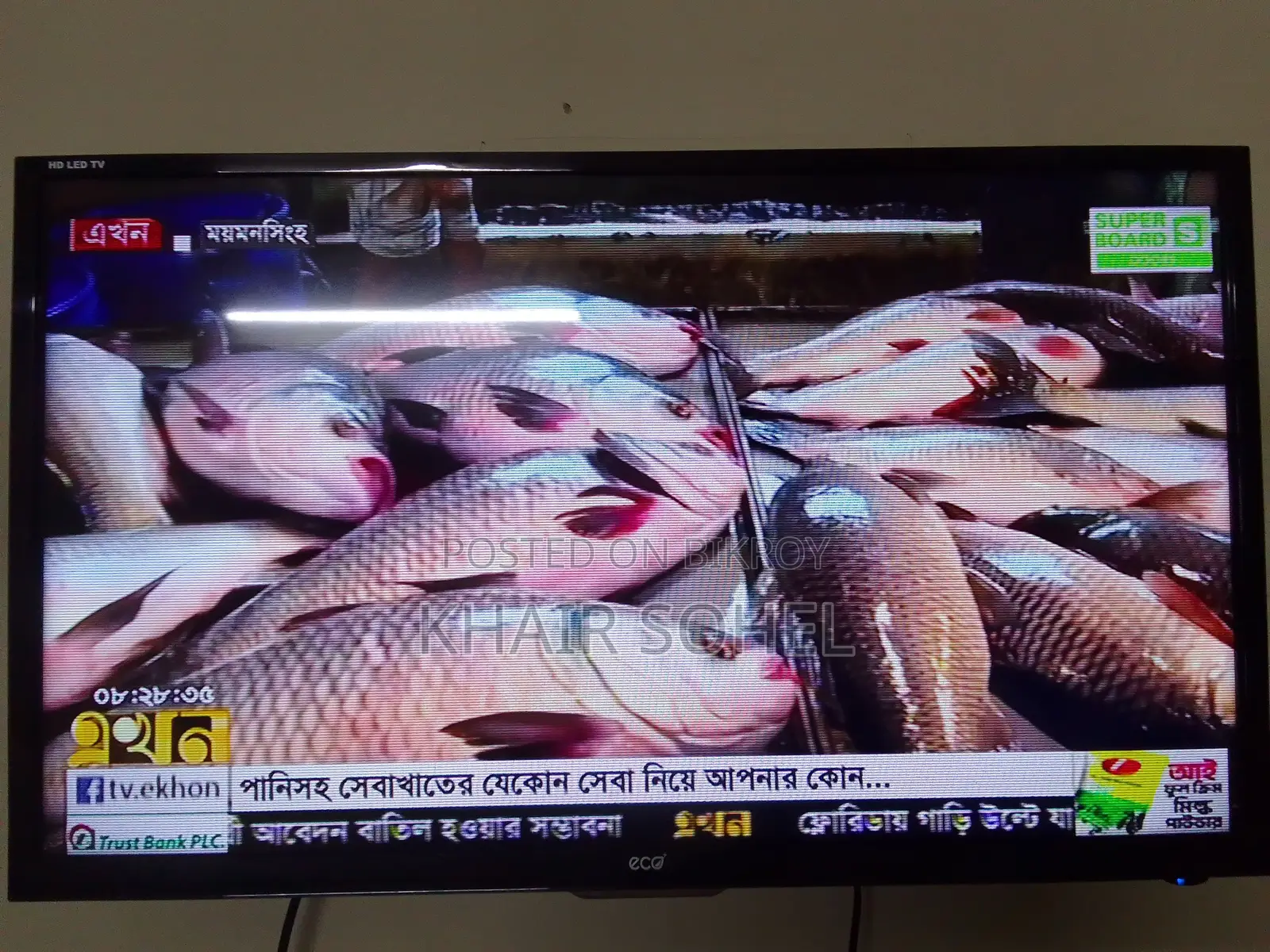 Eco+ HD LED TV 32"