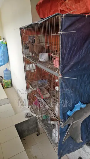 খাচা বিক্রি