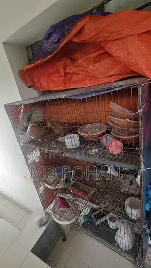 খাচা বিক্রি
