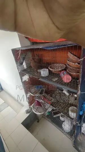 খাচা বিক্রি