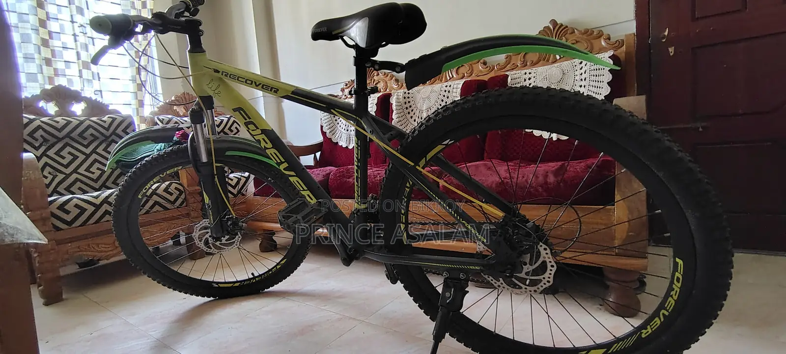 Forever Cycle for Sale
