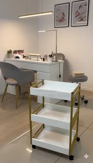 Beauty Parlor & Salon Multiple Drawer Self - 02