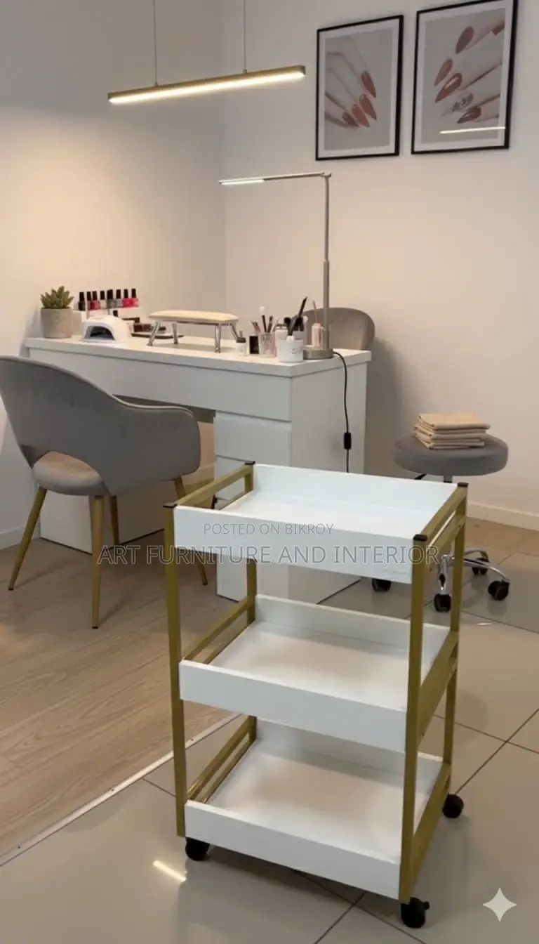 Beauty Parlor & Salon Multiple Drawer Self - 02