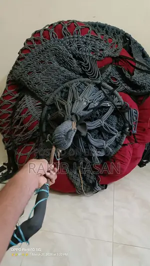 দোলনা