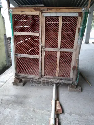 কবুতরের খোঁপ।
