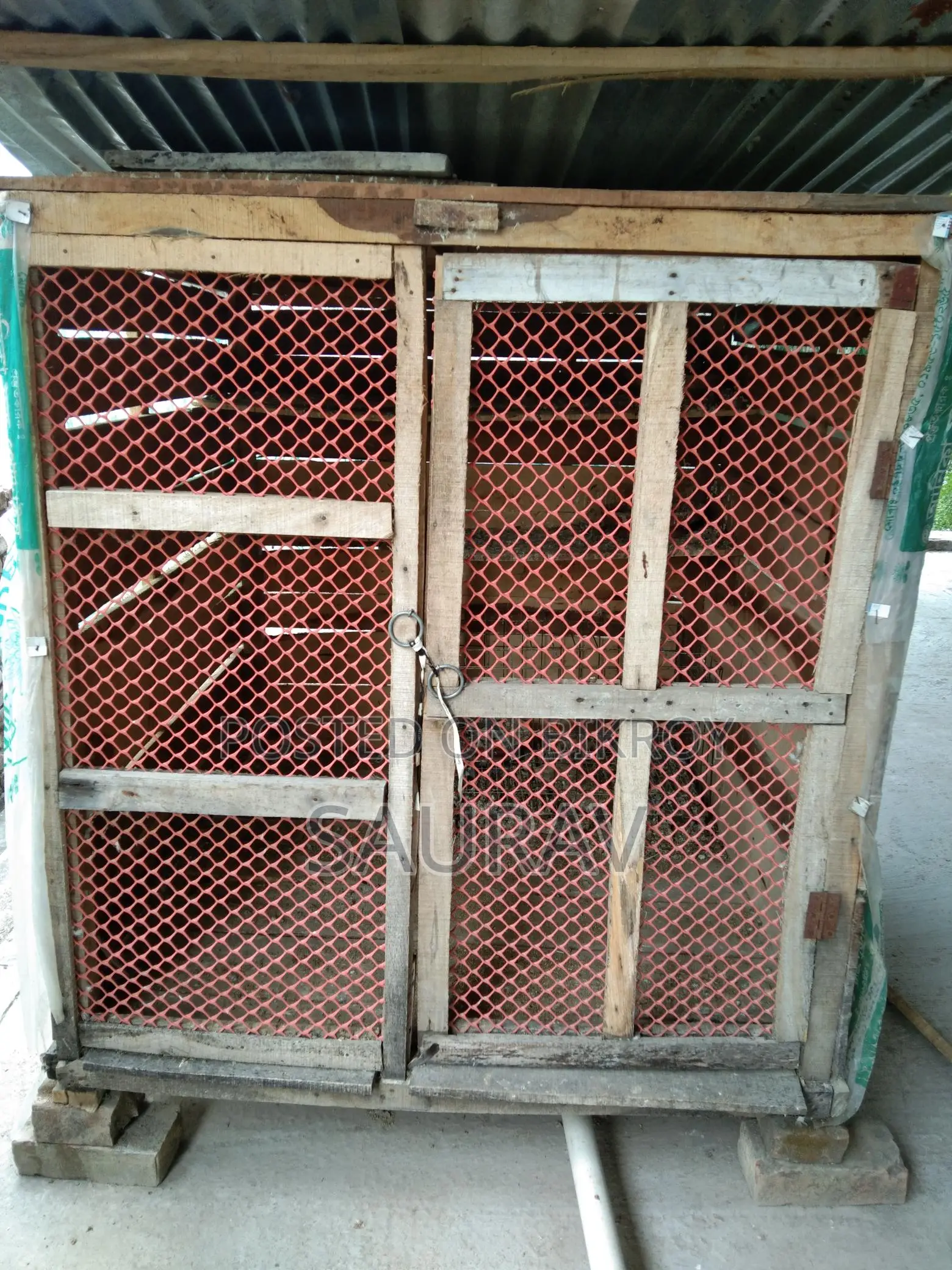 কবুতরের খোঁপ।
