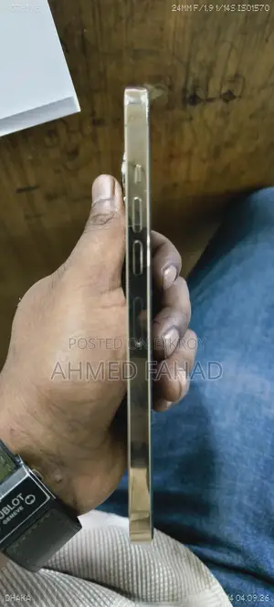 Apple iPhone 13 Pro (Used)