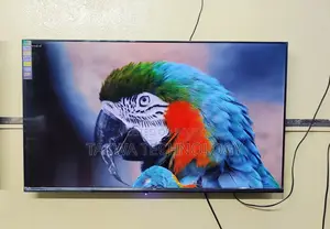 Eco Plus-43" Inch Android Frameless Voice Control TV