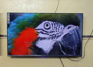 Eco Plus-43" Inch Android Frameless Voice Control TV