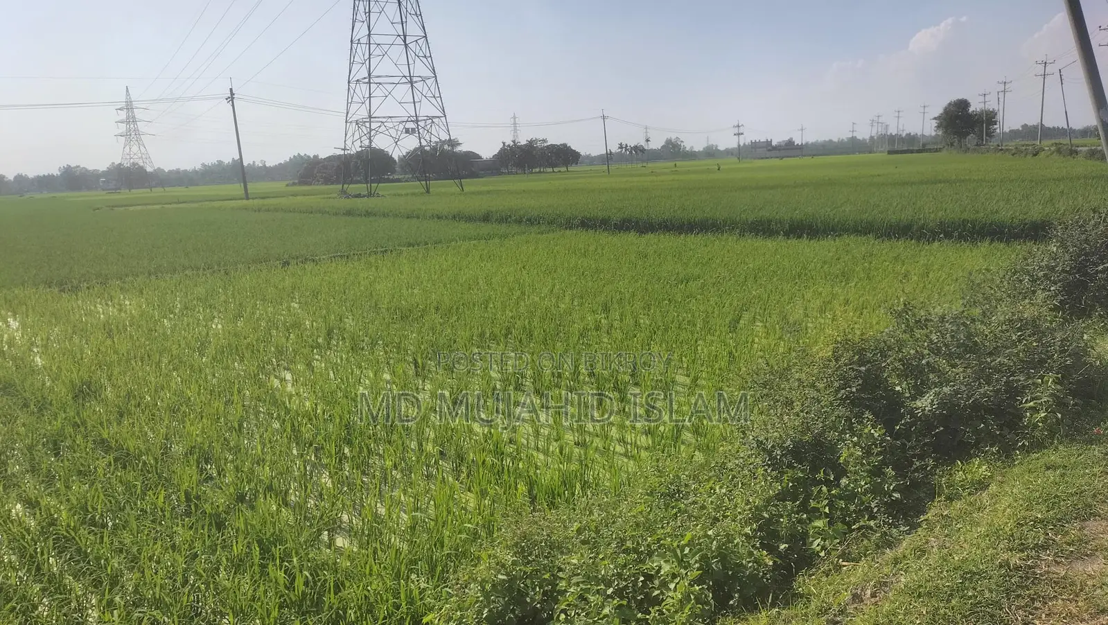 Land for Sale