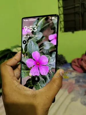 Google Pixel 6 Pro (Used)