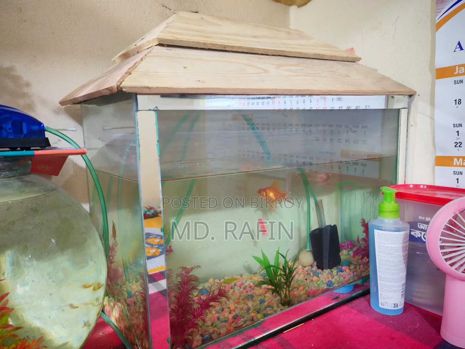Fish Aquarium 16 Inch Full Setup with & Food