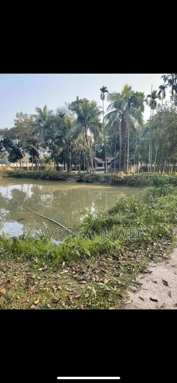 286 Decimal Square Plot for Urgent Sale