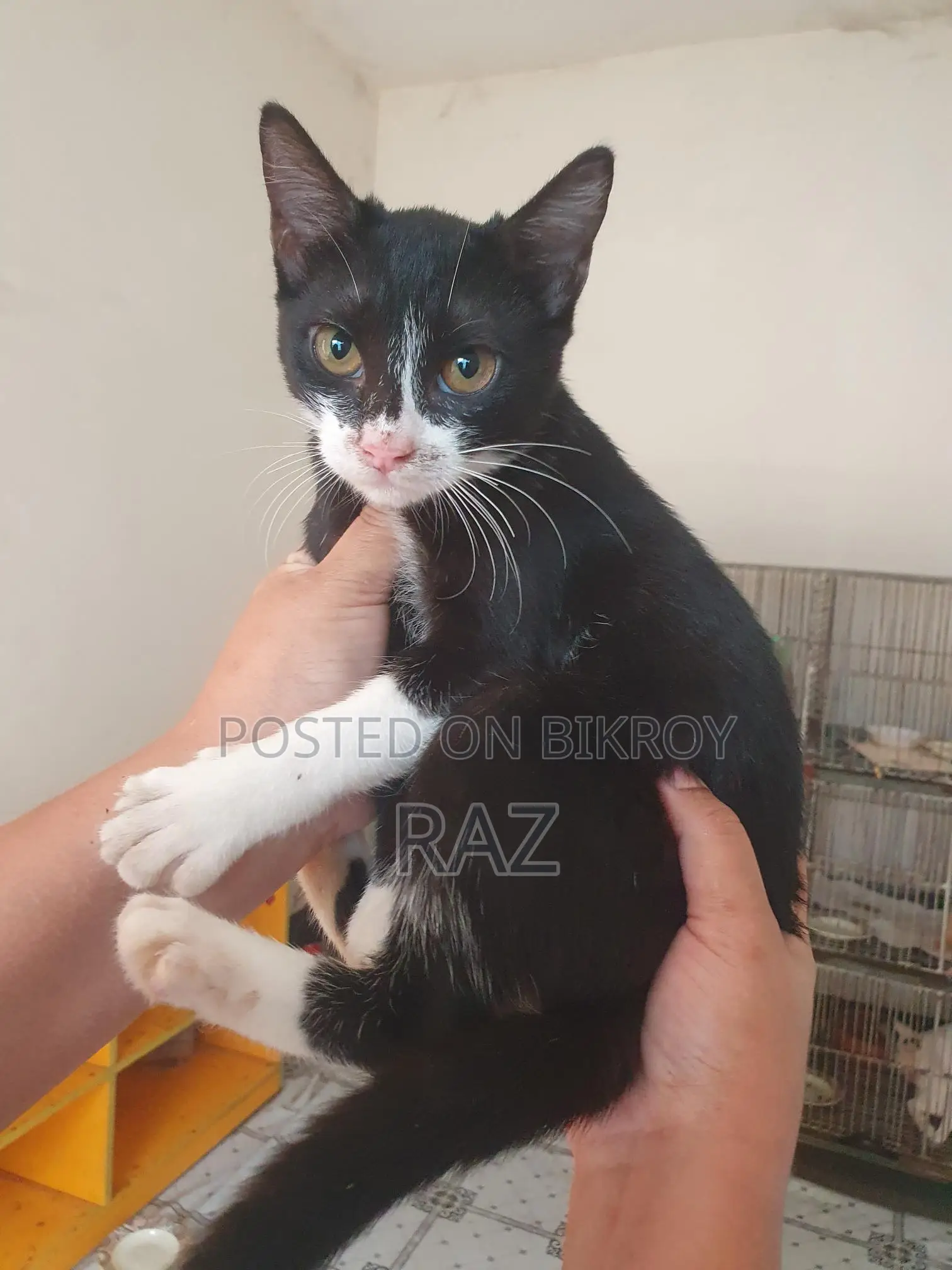 Adoption post