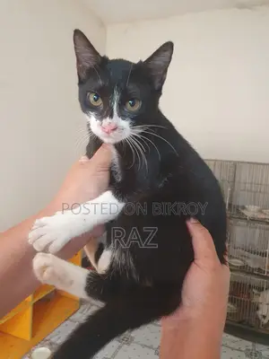 Adoption post