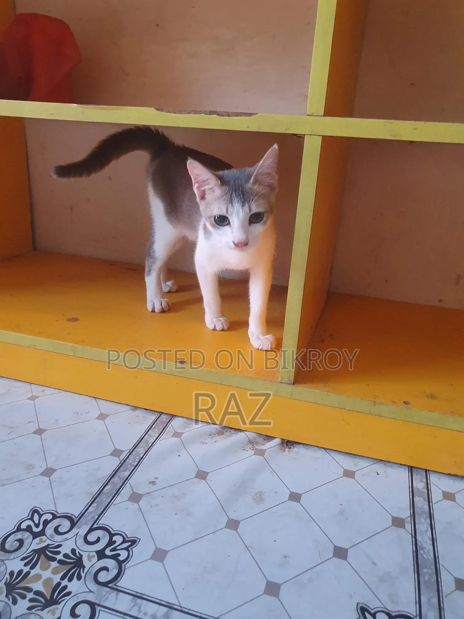 Adoption post
