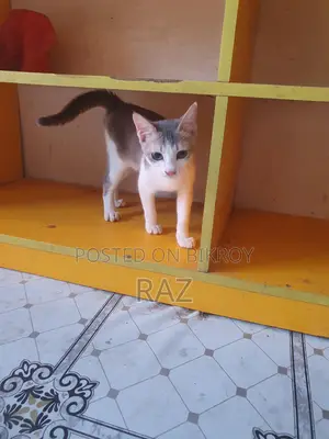 Adoption post