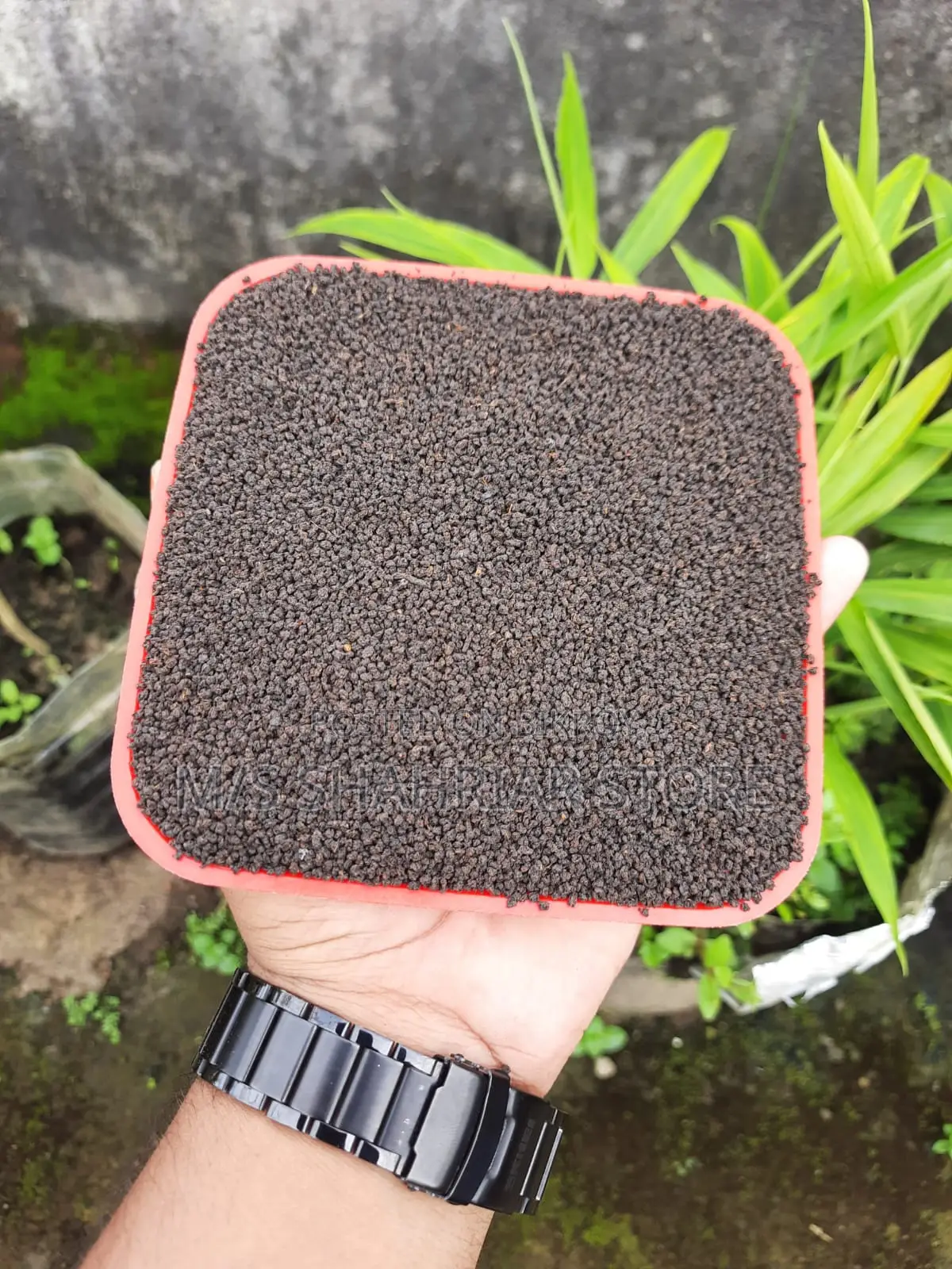 MODHUPUR SPECIAL CHA PATA (PREMIUM QUALITY)